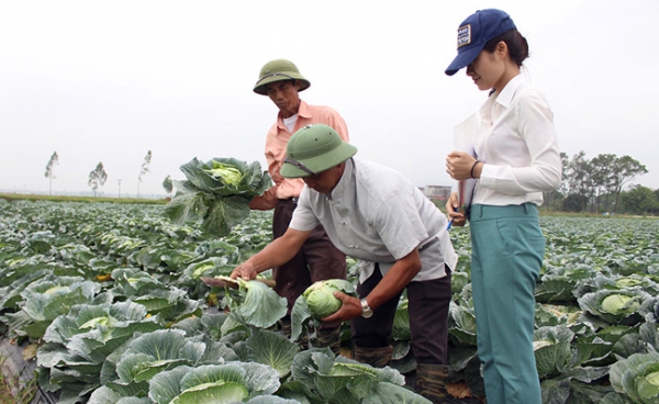 Ứng dụng công nghệ vào trồng trọt