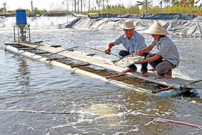 Sức bật thuỷ sản