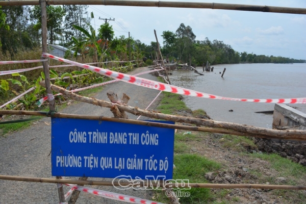 Sớm khắc phục sạt lở đê sông Gành Hào đoạn xã Hoà Tân, Thành phố Cà Mau