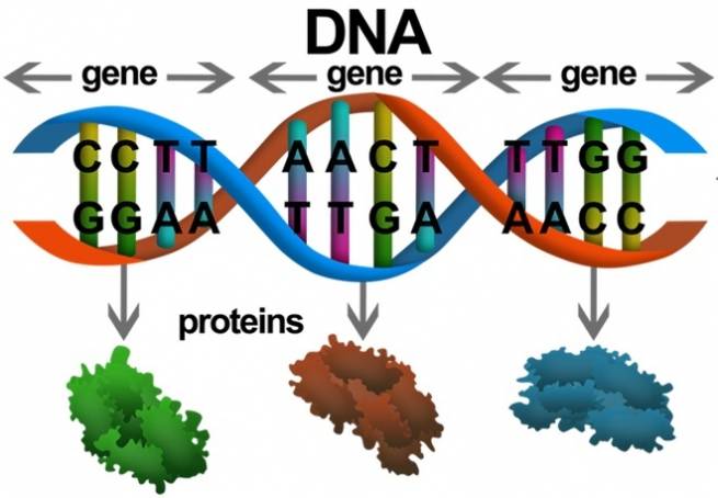 Cựu nhân viên Google người Việt tự giải mã gene chỉ với... mẫu nước bọt