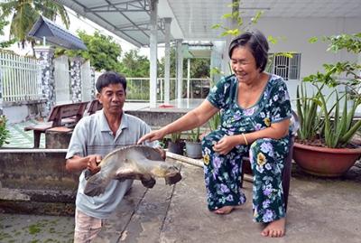 Diện tích nuôi thủy sản đạt khoảng 7.990ha